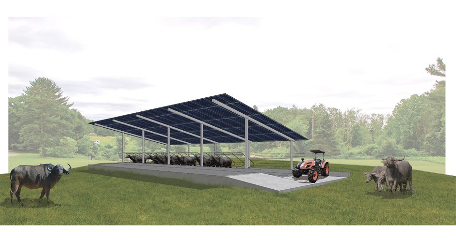 75_ecofarm-cattle-shed